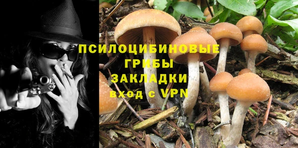 марки lsd Балабаново